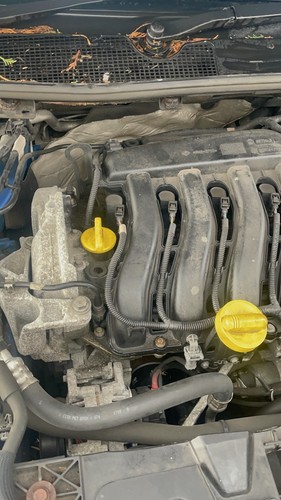 2010 renault megane engine - 2010,